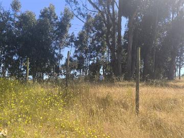 Terreno en Concón