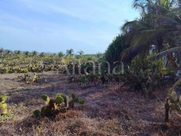 Terreno en Congregacion Charco Seco