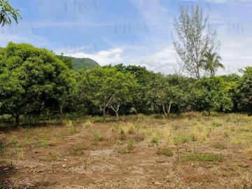 Terreno en Congregacion San Nicolás