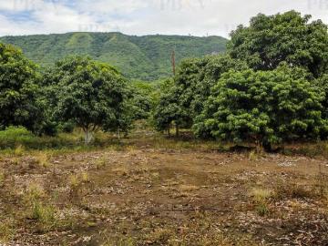 Terreno en Congregacion San Nicolás