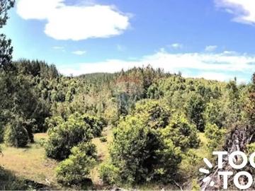 Terreno en Corral