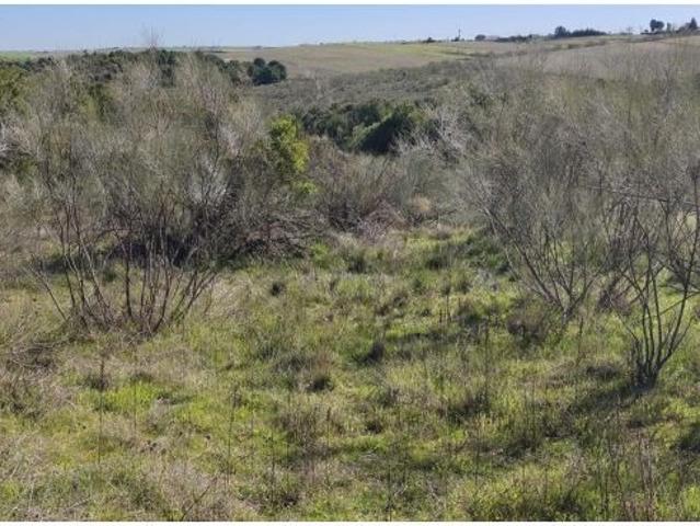 TERRENO EN COTO DE CAZA MENOR – CARRANQUE / EL VISO DE SAN JUAN TOLEDO