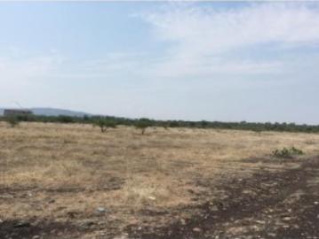 Terreno en Ejido La Norita