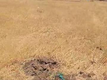 Terreno en Ejido La Noria
