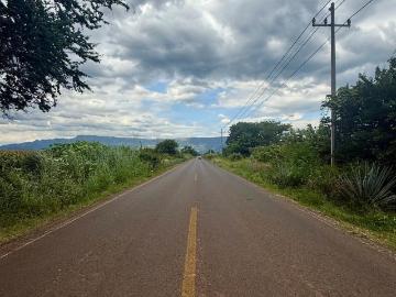 Terreno en El Ocote Poniente s/n Amatit?n, Jalisco