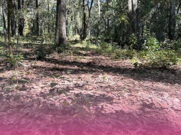 Terreno en el bosque Robles Vigía