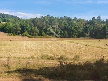 Terreno en El Castellano, San Mateo Acatitlán