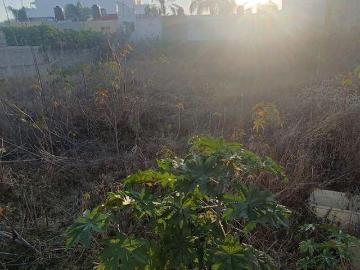 Terreno en el Colli Urbano