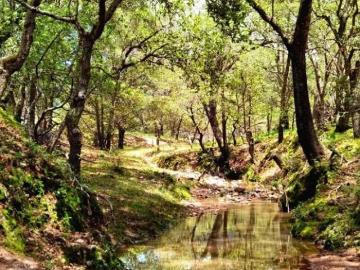 Terreno en el Pueblo Mágico de Calvillo