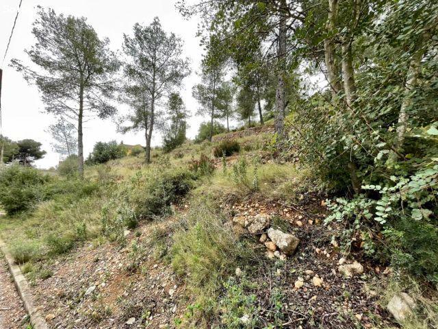 TERRENO EN EL PRIORAT DE LA BISBAL