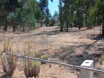 Terreno en El Quisco