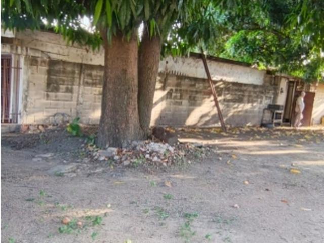 TERRENO EN EL ST. LA JULIA TURMERO VE46 121TU AMED