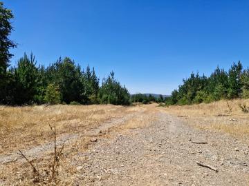 Terreno en Empedrado