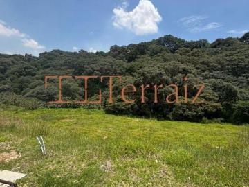 Terreno en esquina en Venta en Rancho San Juan