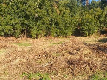Terreno en Futrono