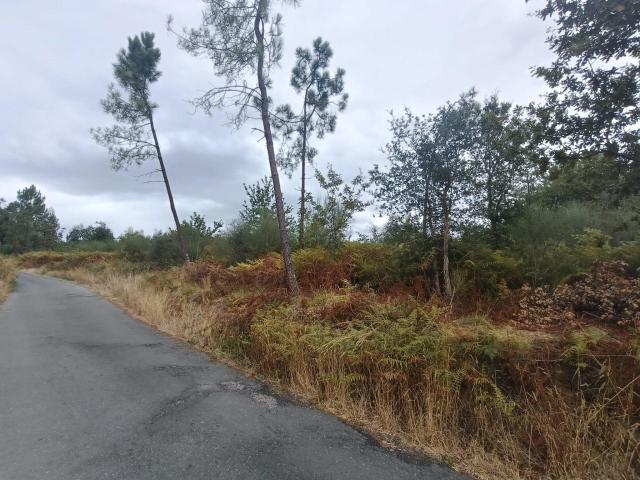TERRENO EN FIOLLEDO SALVATERRA