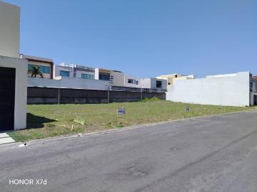 Terreno en Fracc Lomas del Sol