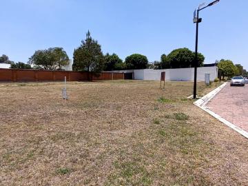 Terreno en Fraccionamiento El Lucero