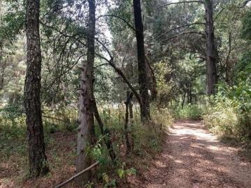 Terreno en Fraccionamiento Guayacahuala
