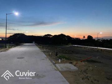 Terreno en Fraccionamiento Los Portales