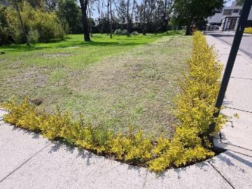 Terreno en fraccionamiento privado en Vista Hermosa