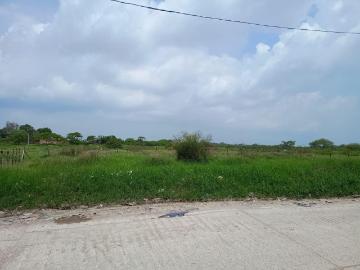 Terreno en Fraccionamiento Santa Elena
