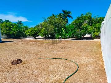 Terreno en venta, San Antonio Cinta, M?rida, Yucat?n. En esquina, 1,130.50 m? 34.30m x 33.25m