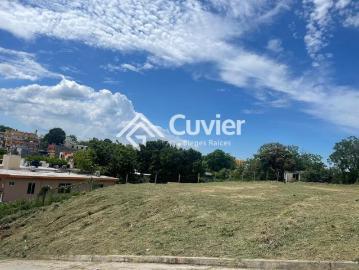Terreno en Gustavo Diaz Ordaz