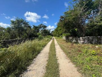 Terreno en Hunucmá camino al Puerto de Sisal, de 9,676 m²