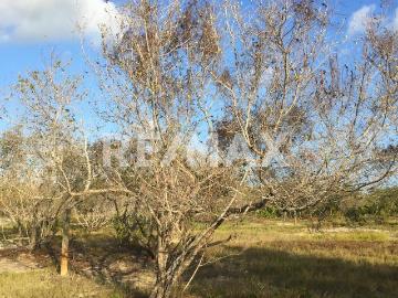 Terreno en Holbox a 3 calles del mar