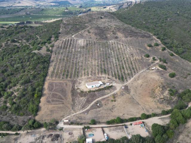Terreno en HONDA CABADA, MANILVA, MALAGA