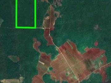 Terreno en Hopelchen Campeche en venta
