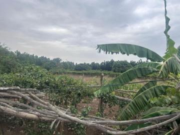Terreno en Ica
