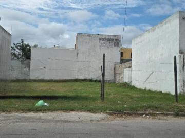 Terreno en Jesús Luna Luna