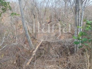 Terreno en La Mina