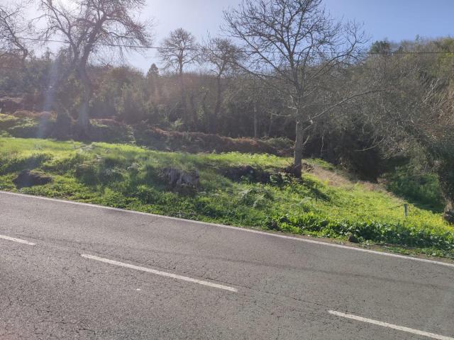 TERRENO EN LA OROTAVA, AGUAMANSA