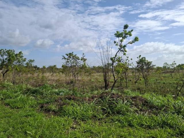 TERRENO EN LA AV. ALIRIO UGARTE PELAYO VE02 2561AV YABI