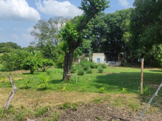 TERRENO EN LA CTRA. NACIONAL GUANARE OSPINO VE21 005CC ERAM