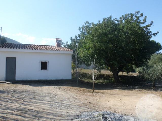 Terreno en la Ca Pallús Ontinyent