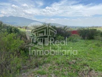 Terreno en La Concepción, Tepotzotlán