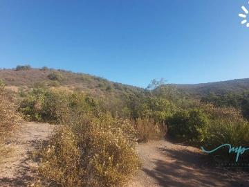 Terreno en La Cruz