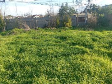 Terreno en La Cruz