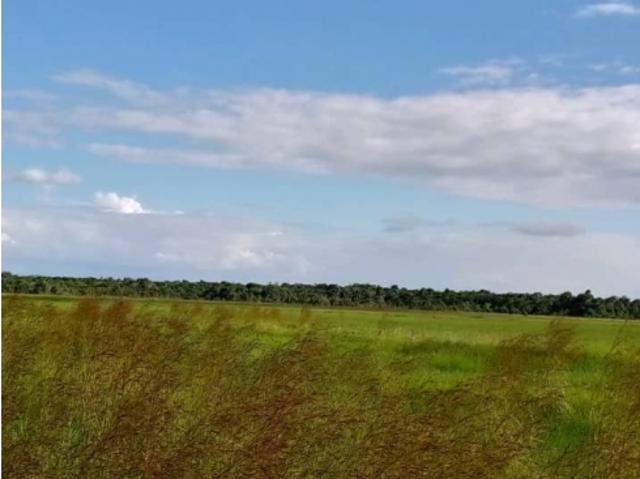 TERRENO EN LA ENTRADA AL RINCON DE MONAGAS VE02 1714VS DCED
