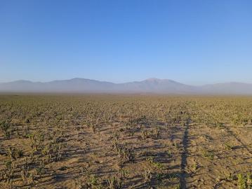 Terreno en La Higuera