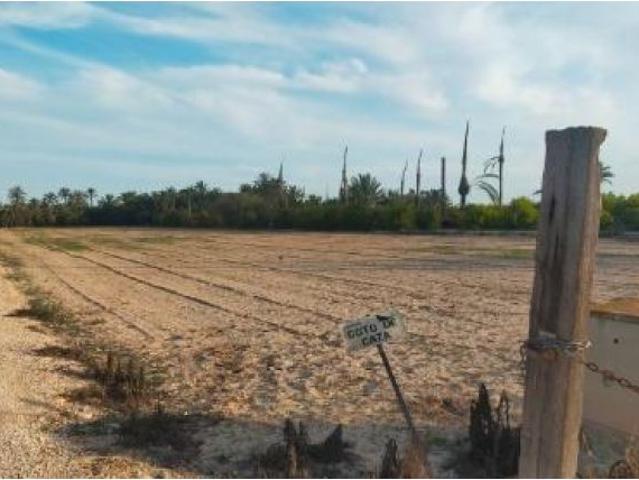 terreno en la hoya, Asprillas Daimés