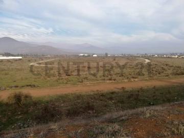 Terreno en La Ligua