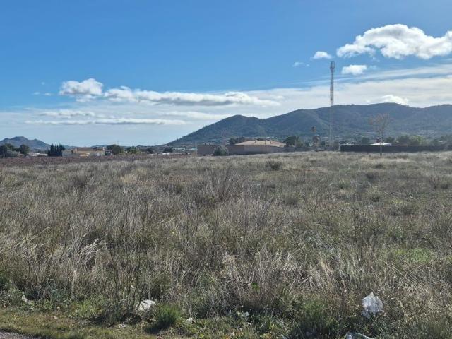 TERRENO EN LA ROMANA DE 12.461M2 IDEAL PARA CHALETS