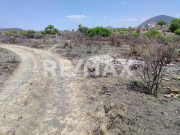 TERRENO EN LA SOLANA SOBRE CARRETERA 4