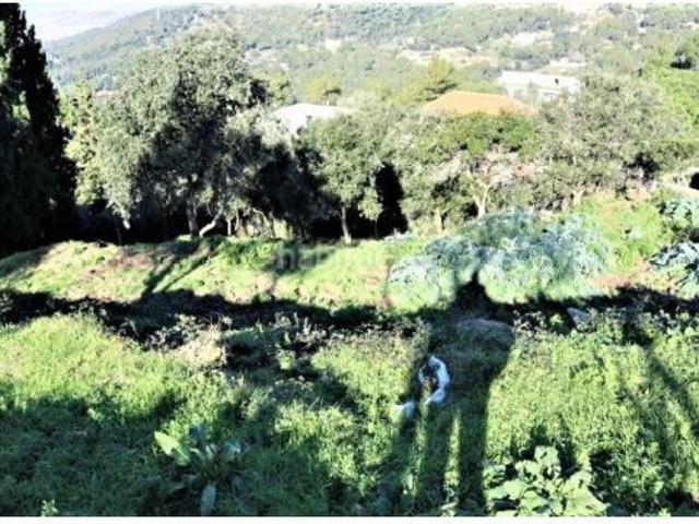 TERRENO EN LA VALLENSANA