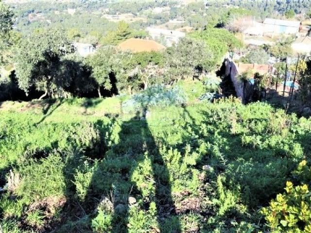 TERRENO EN LA VALLENSANA